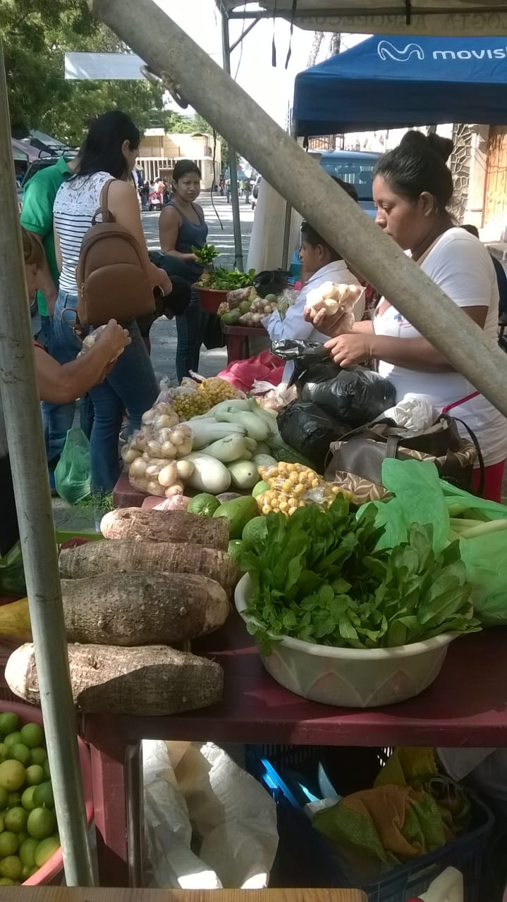 feria1